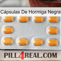 Cápsulas De Hormiga Negra cialis3